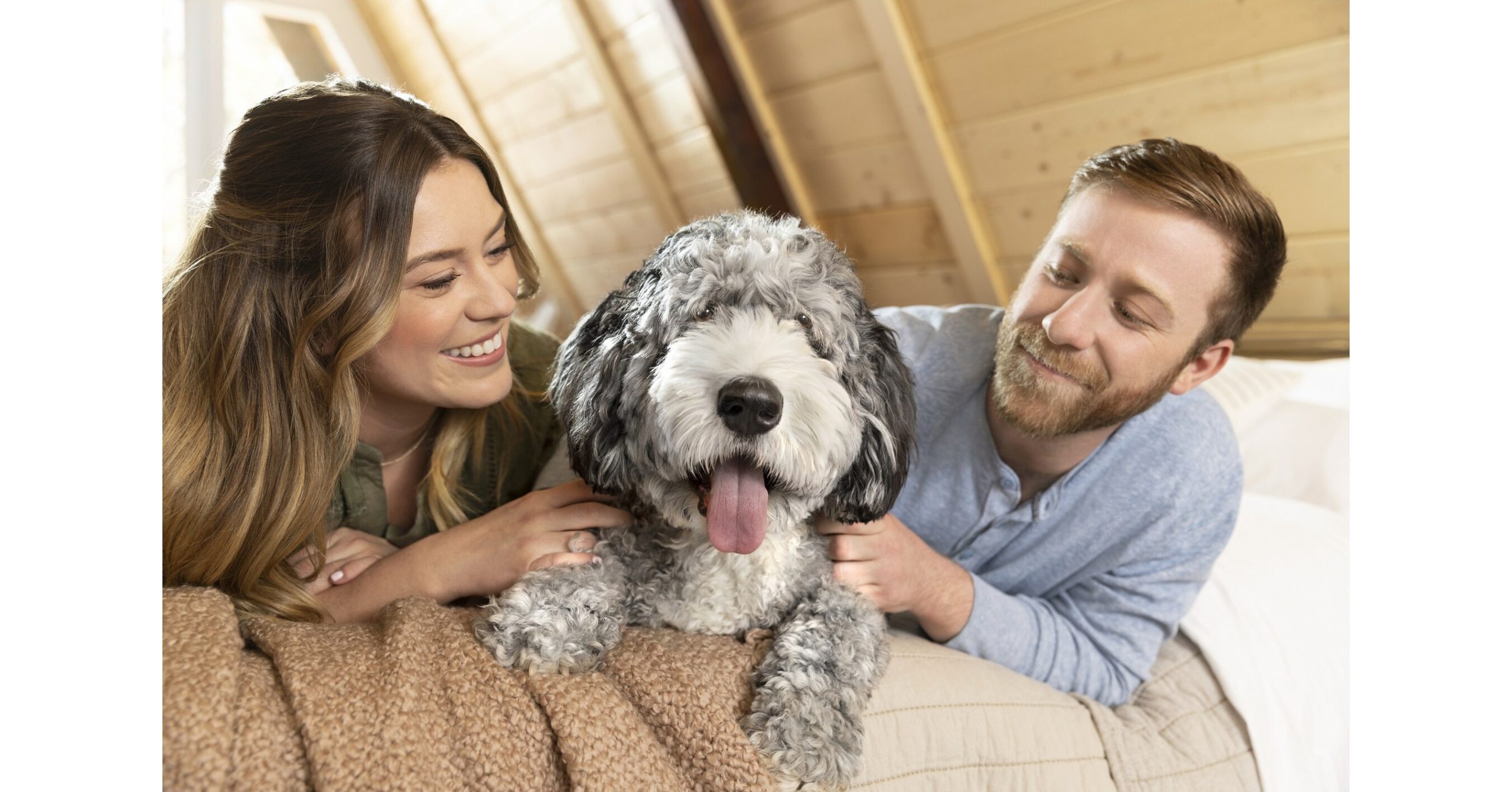 When It Involves Pets within the Bed room, Three’s a Crowd