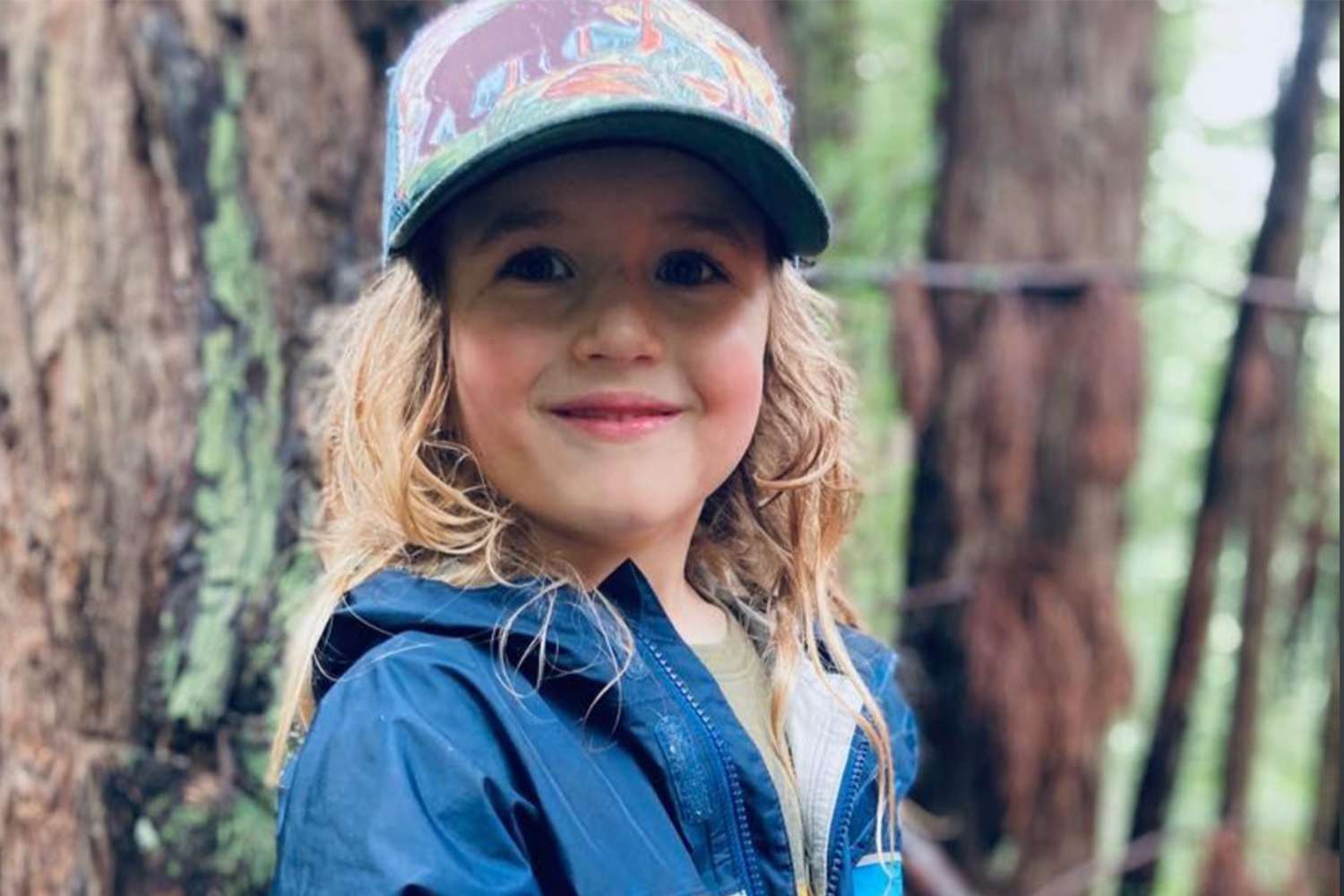 California Boy, 5, Survives Mountain Lion Assault in San Mateo County